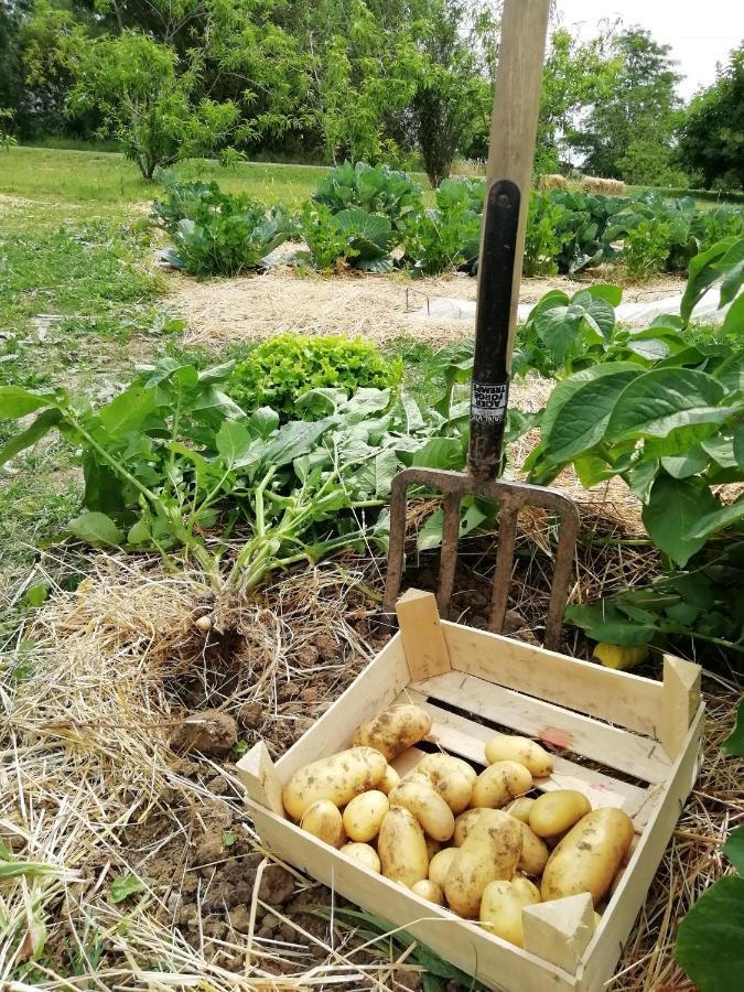 La Planche Princee, Chambres D'Hotes Ecolo Et Potager Bio, Sauna Les Rosiers エクステリア 写真